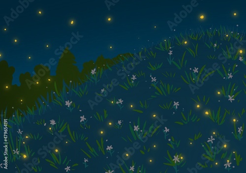 Hill at night in the woods with fireflies illustration background © Frichi Ram