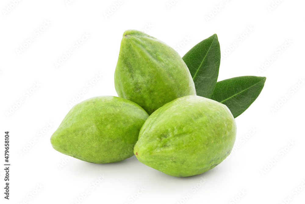 Terminalia chebula or chebulic myrobalans, fruits isolated on white background with clipping path. Terminalia chebula or chebulic myrobalans, fruits isolated on white background with clipping path.