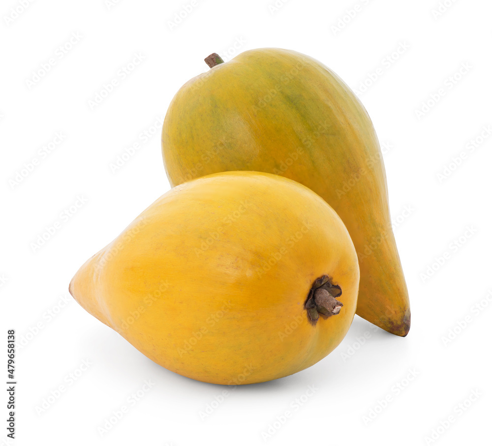 Canistel or Pouteria campechiana fruits isolated on white background with clipping path.