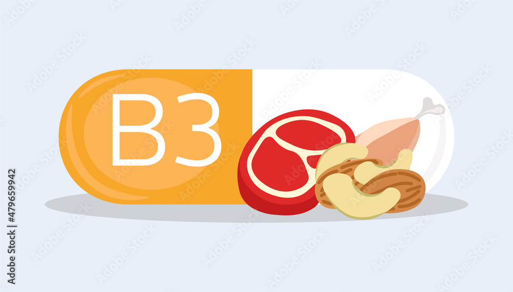 Sources of vitamins concept. Capsule with water soluble vitamin B3, beef, almond and meat. Healthy food. Infographics for printing, websites and presentations. Cartoon flat vector illustration Sources of vitamins concept. Capsule with water soluble vitamin B3, beef, almond and meat. Healthy food. Infographics for printing, websites and presentations. Cartoon flat vector illustration