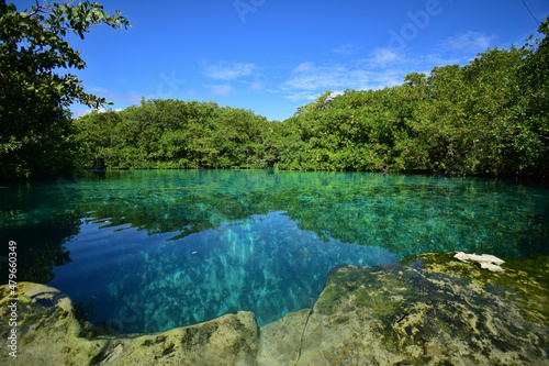 Open cenote between Tulum and Playa del Carmen  Mexico  Quintana Roo