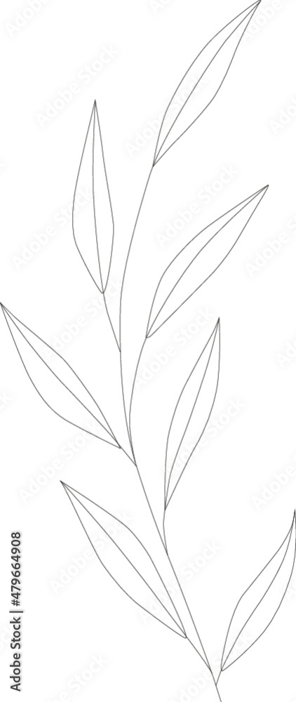 Naklejka premium Delicate Leaves