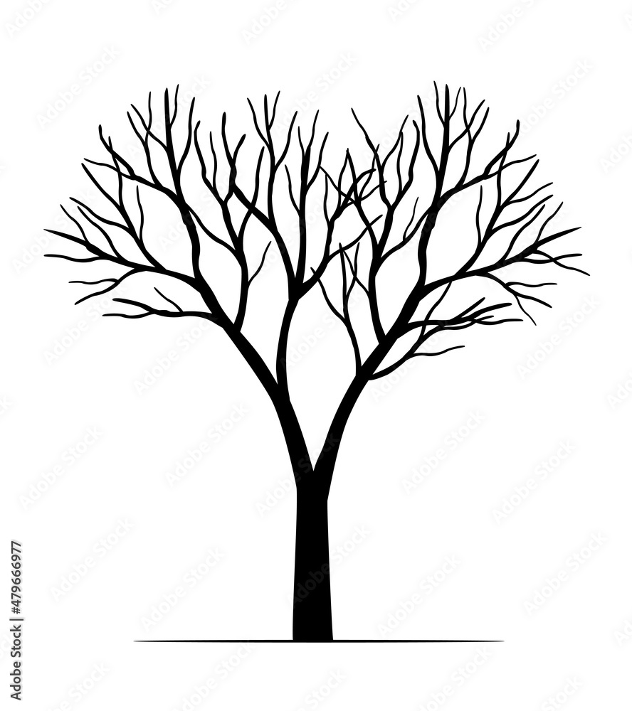 Black Tree. Vector outline Illustration. Outline drawing. Stock Vector