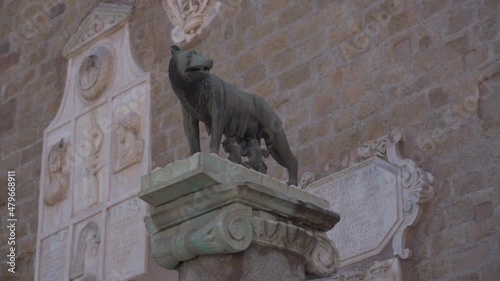 statue of the wolf CAMPIDOGLIO ROME