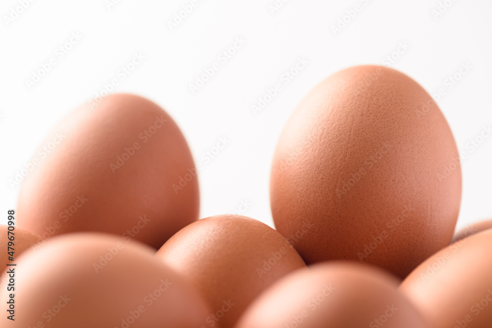 Fresh organic chicken eggs on white background. Fresh organic chicken eggs on white background.