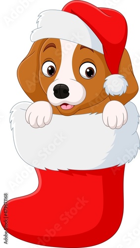Cartoon funny little dog in the christmas sock