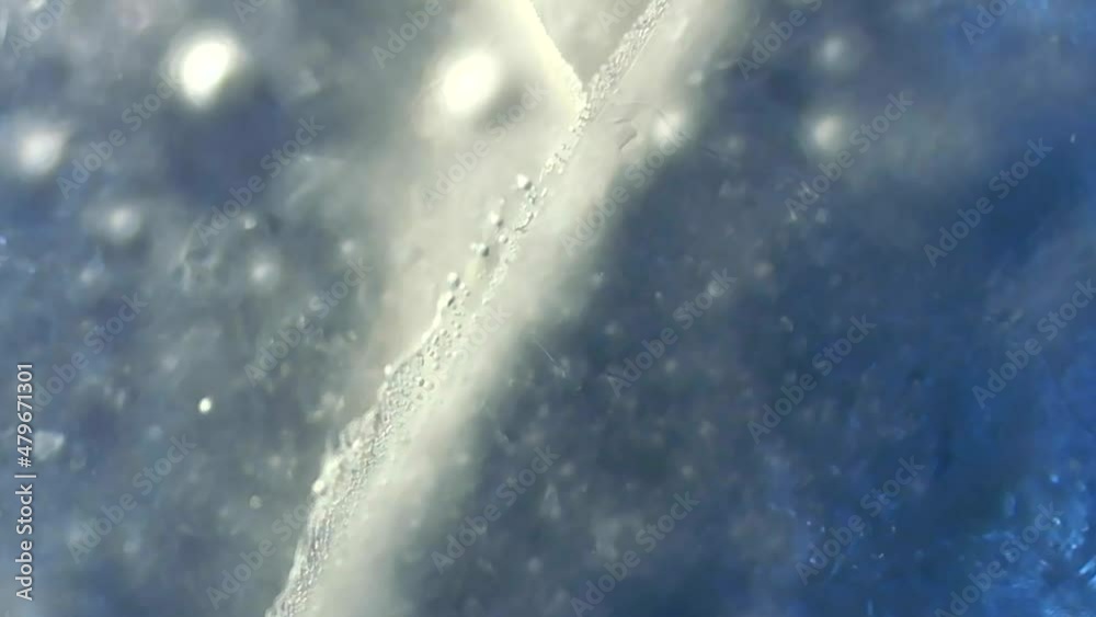 Macro texture of ice cubes under microscope Macro texture of ice cubes under microscope