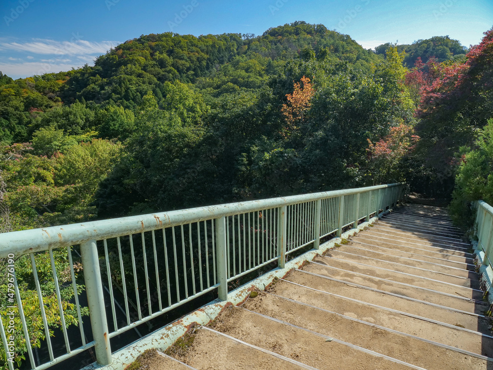 Obraz premium 大阪府 明治の森箕面国定公園 東海自然歩道