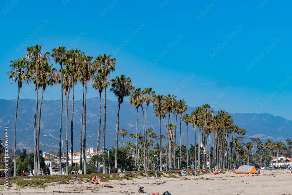 Naklejka premium Sunny view of the beautiful palm tree and mountain