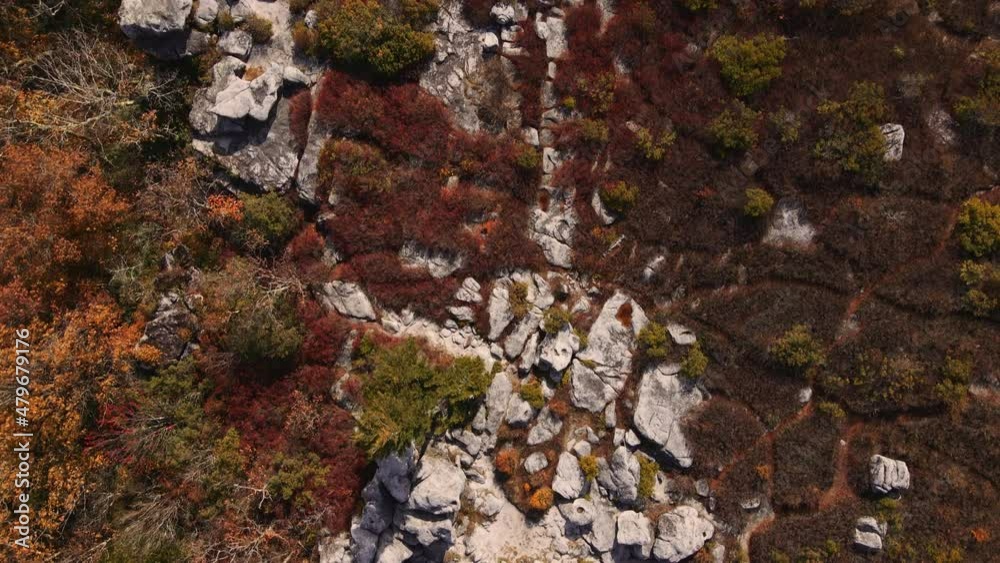 Aerial of Dolly Sods Wilderness, Topdown of Rocky Area Aerial of Dolly Sods Wilderness, Topdown of Rocky Area