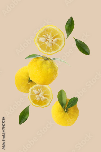 yuzu fruits isolated on a light brown background 