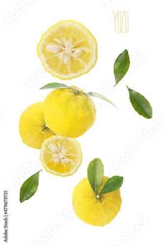 yuzu fruits isolated on a white background, design element 