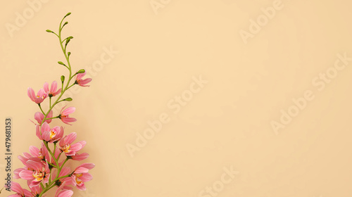 background yellow whith cherry flower-3d