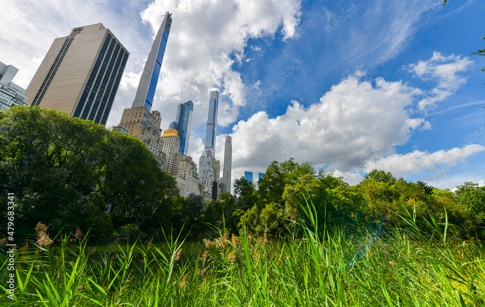 Fototapeta premium Central Park from Manhattan. Daily life scene and a beautiful day to walk in the biggest park in New York. Great view to the landmarks of this city in America.