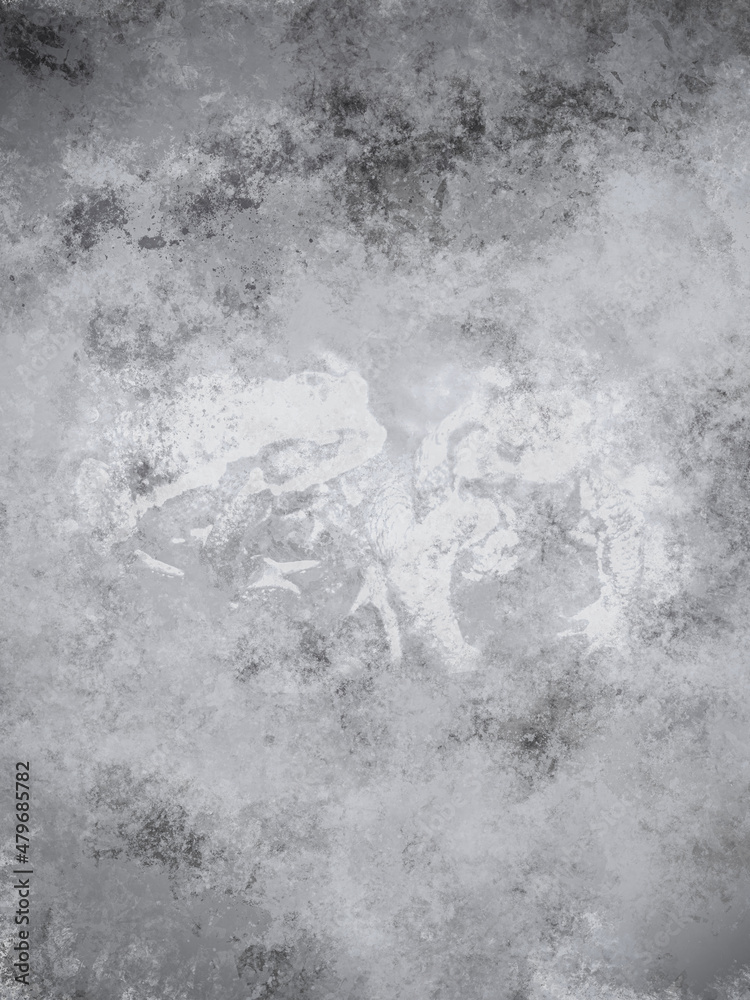 Fototapeta premium 石壁 テクスチャ 蛙