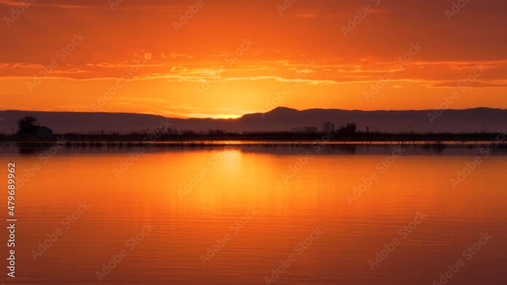 Sunset in the flooded rice fields of La Albufera with birds flying. Valencia Spain.