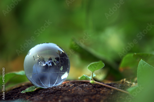 Crystal Globe in Grass, Image of Ecology