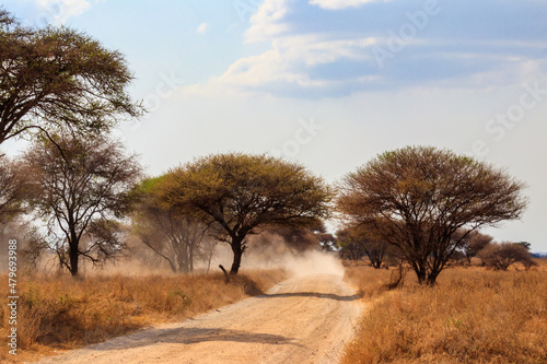 Road in Tarangire national park in Tanzania, Africa photo