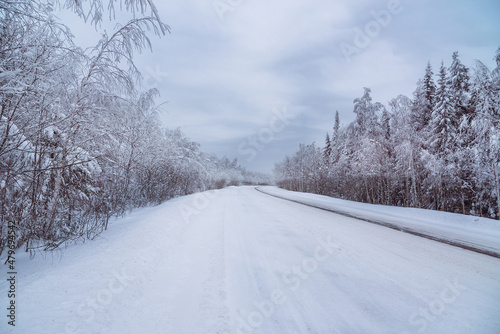 The road in winter season forest with frost and snow on firs brunches