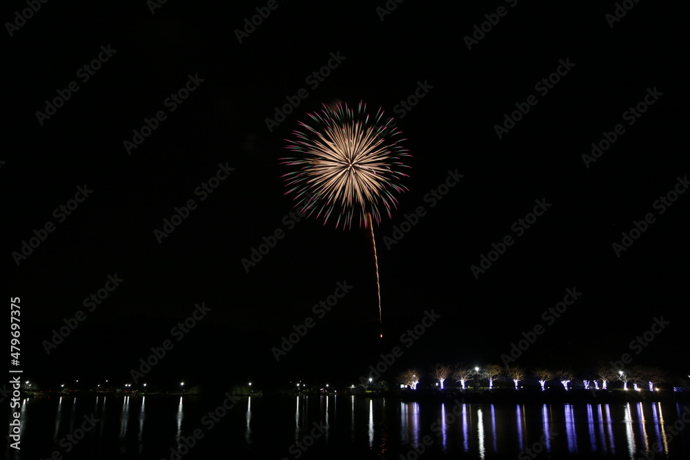 藤枝市成人祝い花火