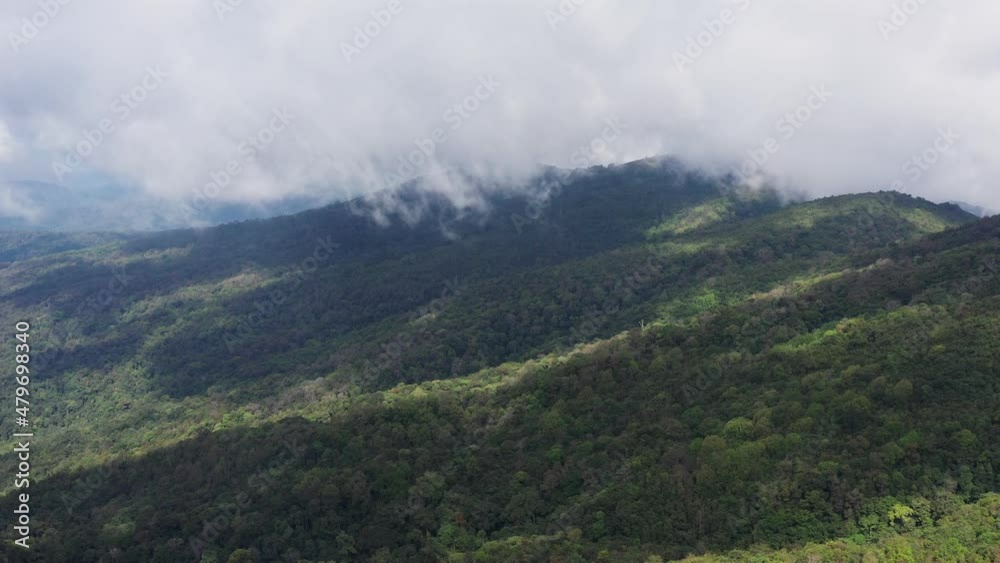 aerial view, rich forest with dense trees Tropical rainforest in northern Thailand aerial view, rich forest with dense trees Tropical rainforest in northern Thailand