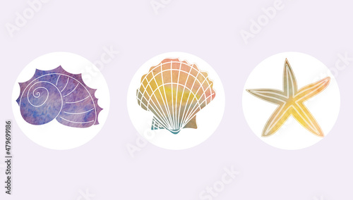 sea shell watercolor texture in vector a4 banners for wall decoration