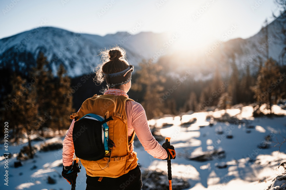 Mountaineer backcountry ski walking ski alpinist in the mountains. Ski touring in alpine landscape with snowy trees. Adventure winter sport. - obrazy, fototapety, plakaty 