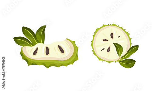 Guanabana tropical fruit set. Exotic ripe green soursop, annona cherimola vector illustration i