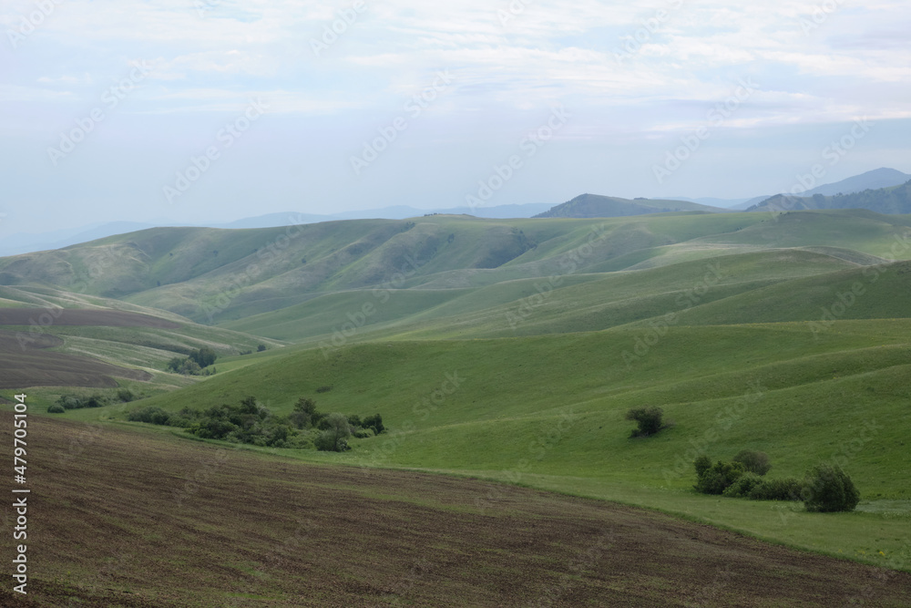Green hills of Altai, mountain pastures.
