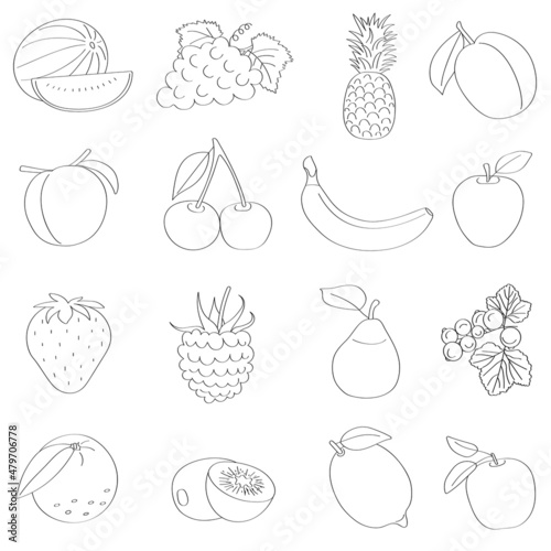 Fototapeta Naklejka Na Ścianę i Meble -  Set of fruits and berries doodle sketch by hand, contour child's drawing. Strawberries, grapes, kiwi, black currant, lemon - vitamin C, healthy food for vegetarians.