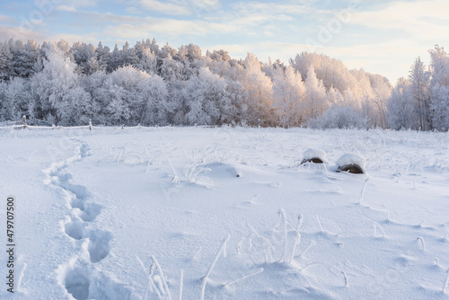 Frosty day in a village on the shore of Lake Onega in the Republic of Karelia