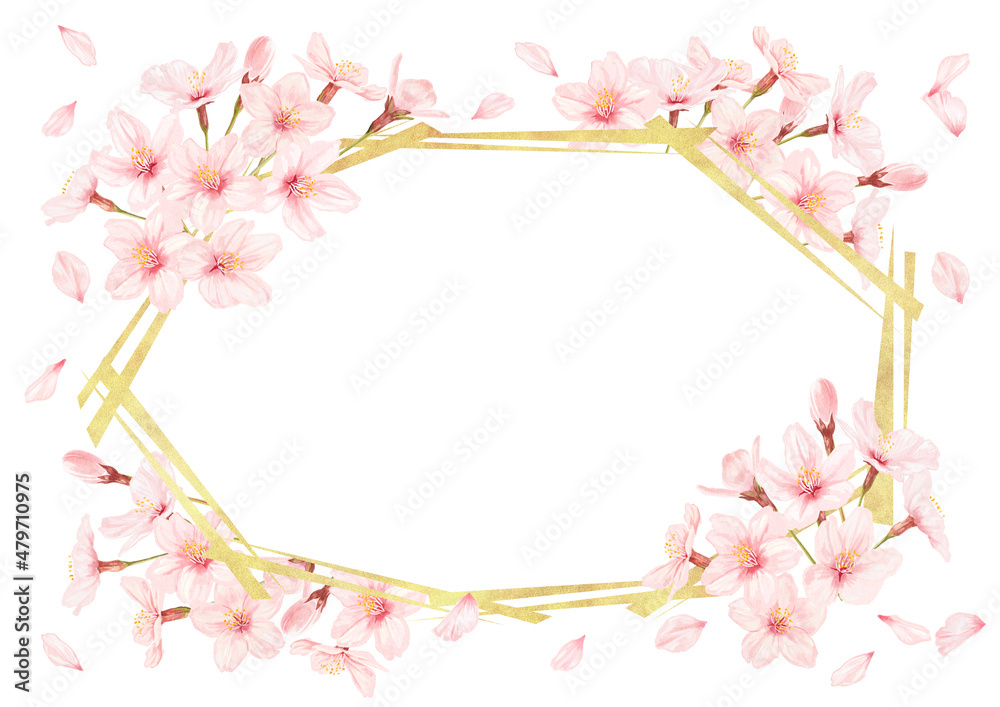 美しい桜のイラストのフレーム