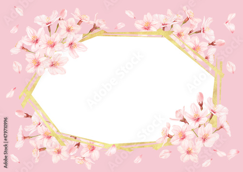 美しい桜のイラストのフレーム