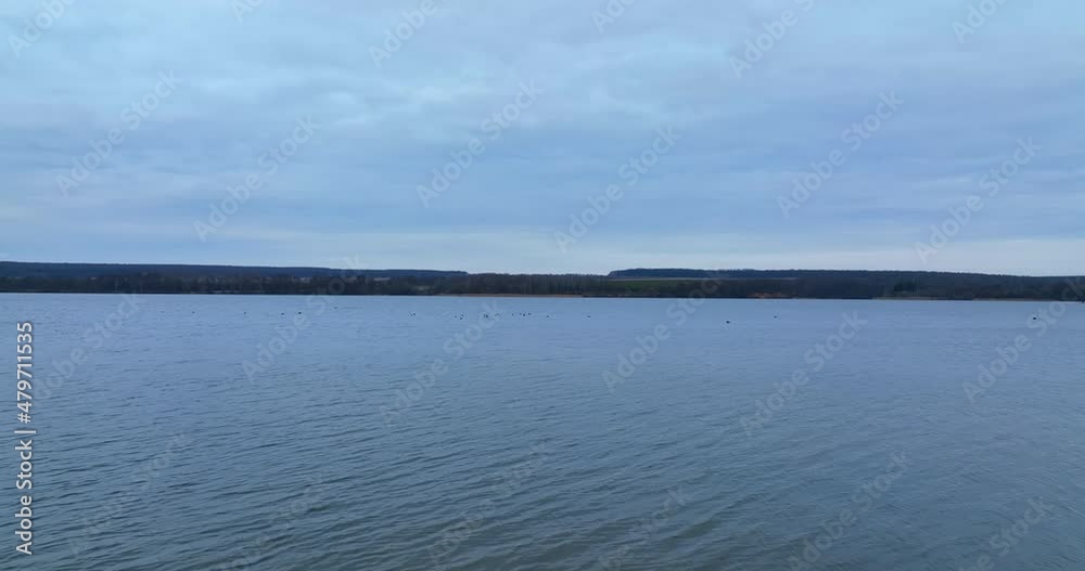Little black silhouettes of ducks floating by the lake. Flock of birds on the surface of gray river. Gray sky background. Little black silhouettes of ducks floating by the lake. Flock of birds on the surface of gray river. Gray sky background.