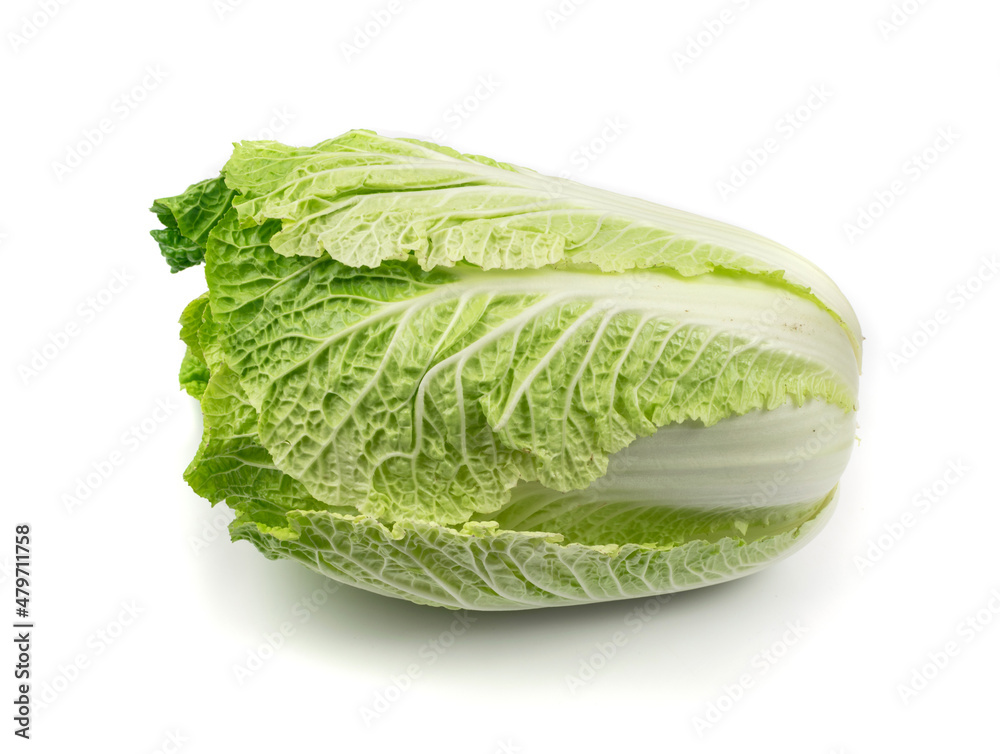 Whole Chinese Cabbage, Napa Cabbage or Wombok Whole Chinese Cabbage, Napa Cabbage or Wombok