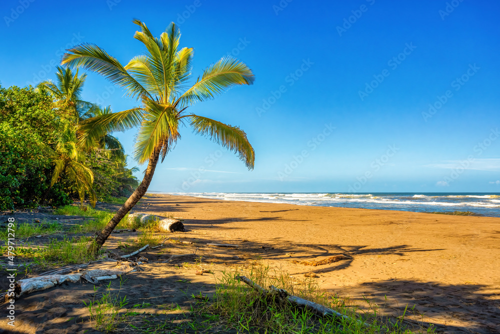 wild beach of Tortuguero by the Caribbean Sea in Costa Rica, Central America. wild beach of Tortuguero by the Caribbean Sea in Costa Rica, Central America.