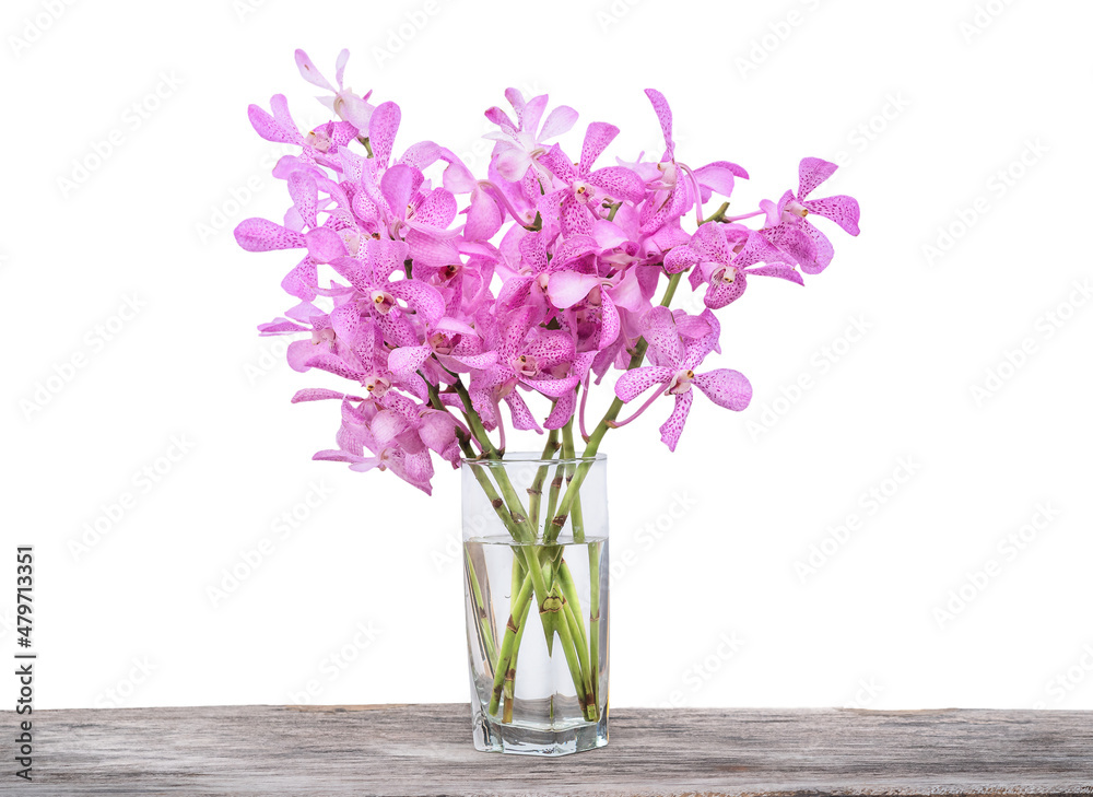 Bouquet of fresh pink orchids in vase isolated