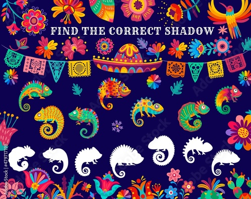 Find correct chameleon lizard shadow kids riddle game. Children educational puzzle game, child logical quiz or kids playing activity, riddle page with mexican sombrero hat, picado garland and flowers