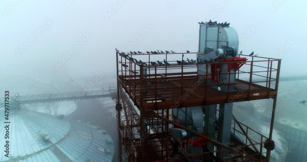 Metal tower with equipment overlooking the huge silo tanks. Flock of pigeon sitting on the rails of the tower. Up-to-date elevator plant area in foggy weather. Circle footage. Metal tower with equipment overlooking the huge silo tanks. Flock of pigeon sitting on the rails of the tower. Up-to-date elevator plant area in foggy weather. Circle footage.