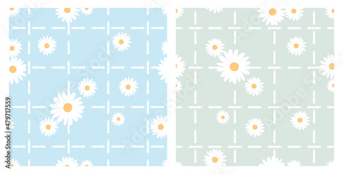 Seamless pattern with daisy flower on blue and green  background vector.