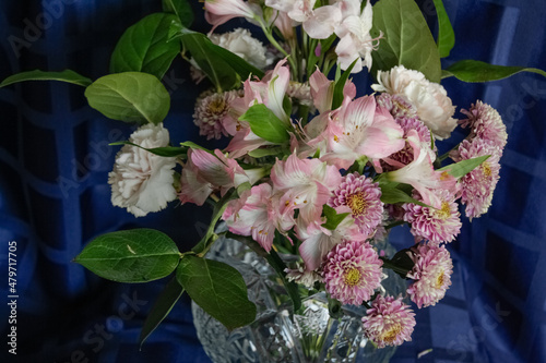 Pink flowers in a glass vase on a blue background.