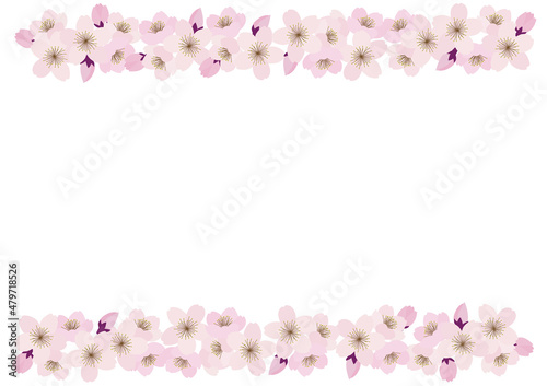Fototapeta Naklejka Na Ścianę i Meble -  桜の花のラインフレーム　横