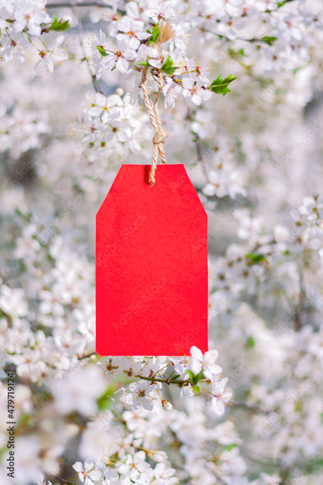 paper red tag with place for text hanging on branches of blossoming plum tree in spring garden