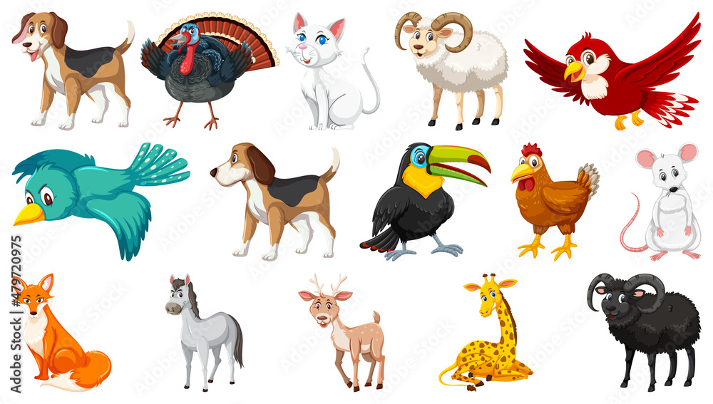 Obraz premium Set of isolated various animals