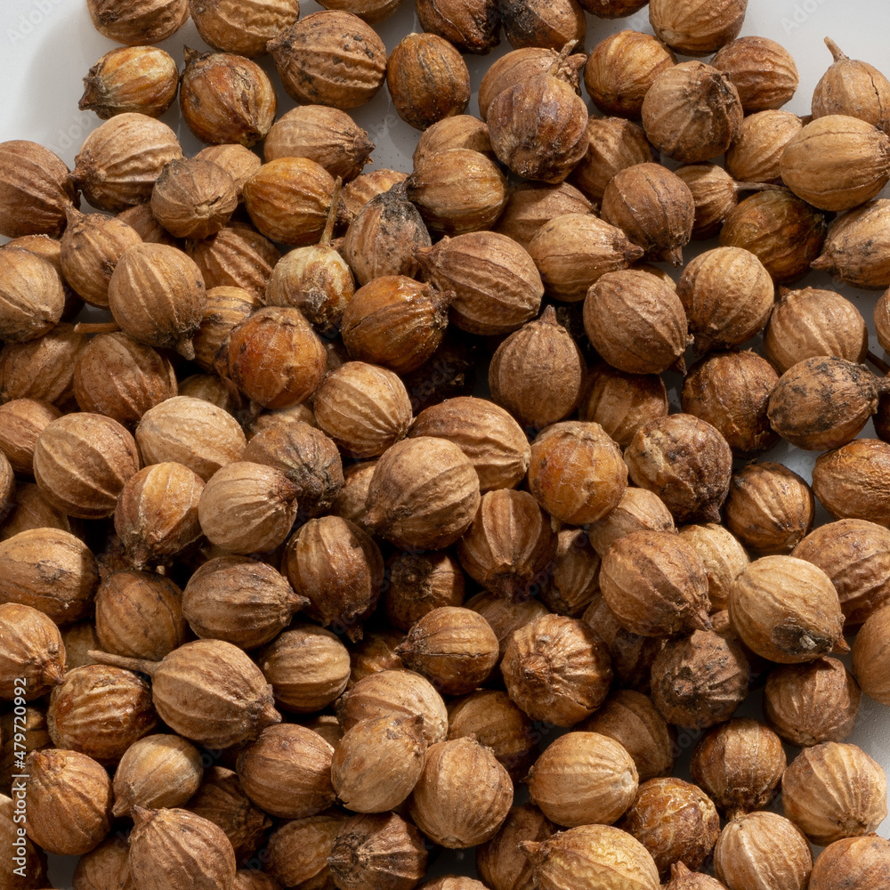 Detailed and large close up shot of coriander seeds & spice. Detailed and large close up shot of coriander seeds & spice.
