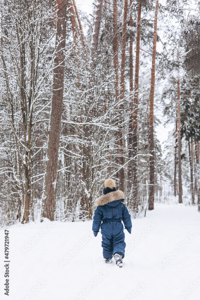 Rear view of child walking in snowy spruce forest. Little kid boy having fun outdoors in winter nature. Christmas holiday. Cute happy toddler in blue overalls and knitted scarf and cap playing in park