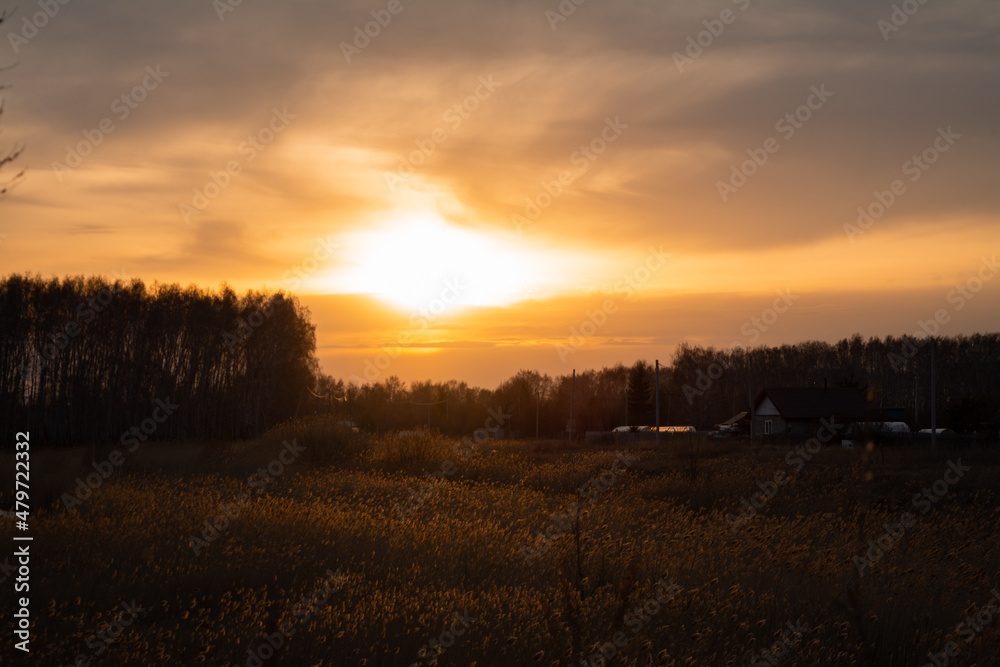 sunset over the gold field