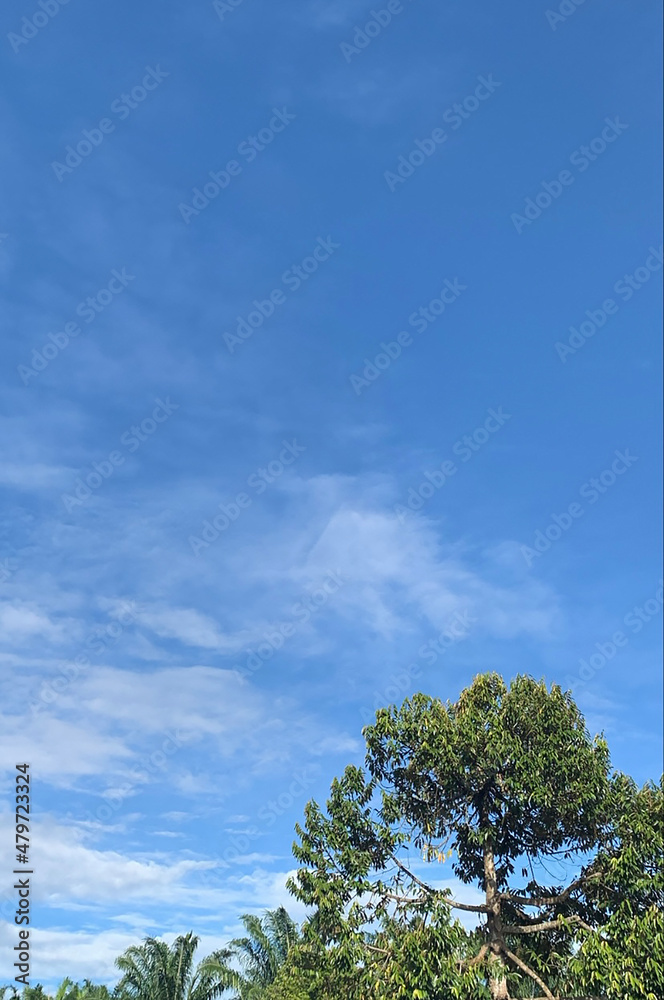 Obraz premium morning sky