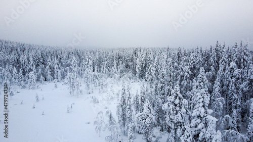 View from Kuertunturi Fell Hill in Lapland FInland