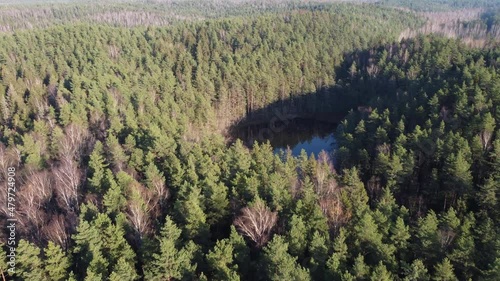 drone flying over summer landscapes